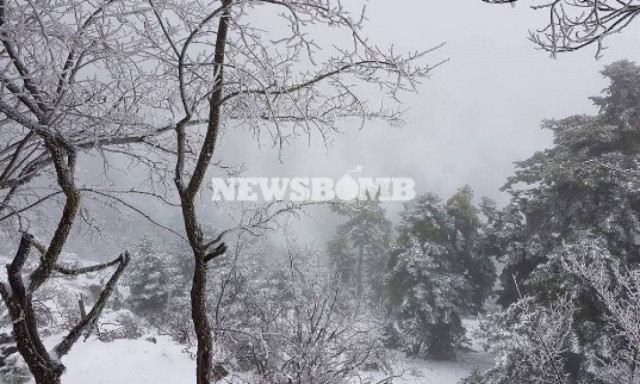 ΠΡΟΣΟΧΗ: Αλλάζει άρδην το σκηνικό του καιρού - Χιόνια και στην Αθήνα τις επόμενες ώρες!