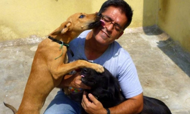 Ινδός έχει υιοθετήσει... 735 σκυλιά (pics)