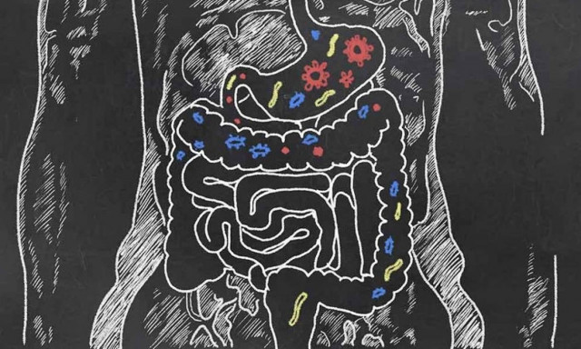 Προβιοτικά: Πέντε οφέλη για την υγεία εκτός της πέψης