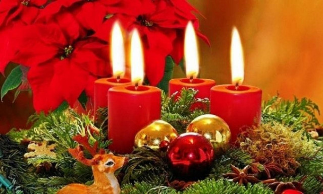 Αλεξανδρινό, το χριστουγεννιάτικο - Είναι ή όχι επικίνδυνο για την υγεία μας;