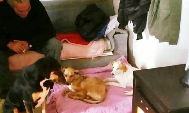 Το θαύμα του Αλέξανδρου, δεν τελειώνει τα Χριστούγεννα!