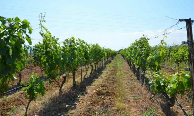 Δραμινή απόβαση σε… «ιταλικό» έδαφος