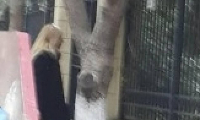 Παπαράτσι: Δείτε τι κάνει τώρα νεαρή τραγουδίστρια (pics)