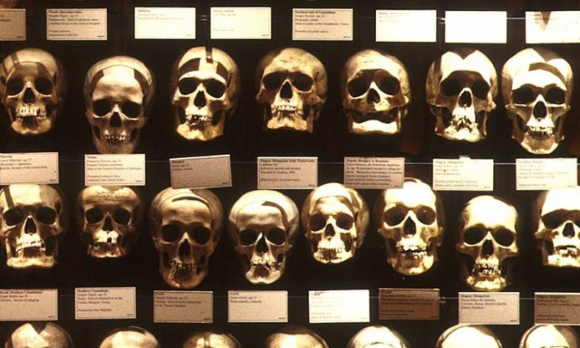 Αυτά είναι τα 25 πιο περίεργα μουσεία του πλανήτη (vid)