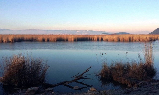 Μοναδικές εικόνες από τα Ιωάννινα: Πάγωσαν τμήματα στην επιφάνεια της Παμβώτιδας
