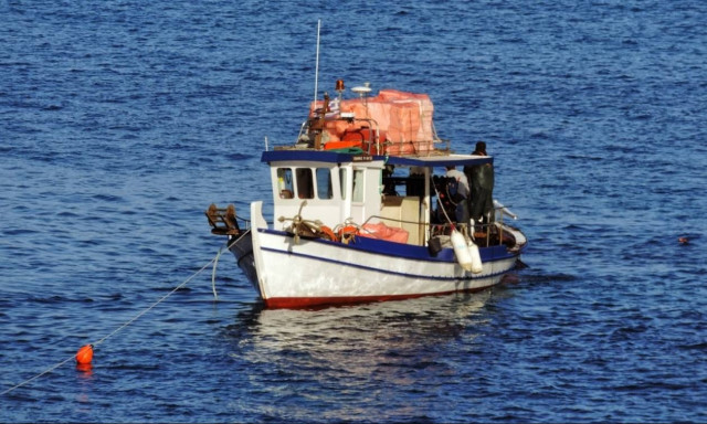 Η χριστουγεννιάτικη ψαριά που δεν περίμεναν: Δείτε τι έπιασαν και έτριβαν τα μάτια τους!