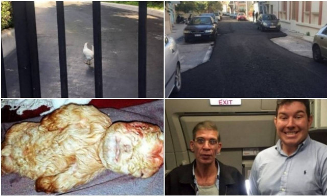 Ανασκόπηση 2016: Οι ειδήσεις της χρονιάς που δεν πιστεύαμε ότι ισχύουν!