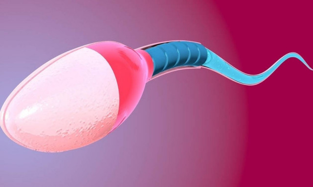 Τροφές που βλάπτουν το σπέρμα και δυσχεραίνουν τη σύλληψη