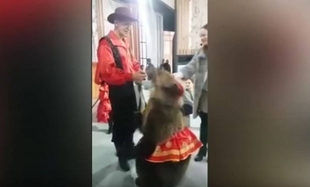 Τρομακτικό βίντεο: Αρκούδα επιτίθεται σε δημοσιογράφο