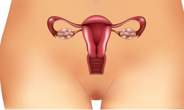 Σύνδρομο πολυκυστικών ωοθηκών και αντίσταση στην ινσουλίνη: Πώς συνδέονται