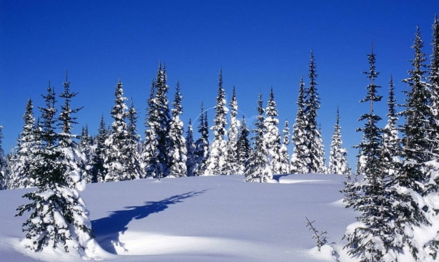 Κακοκαιρία Live: Ξεκίνησαν τα προβλήματα - Δείτε πού εντοπίζονται