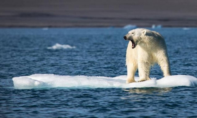 2016: Η θερμότερη χρονιά στην ιστορία