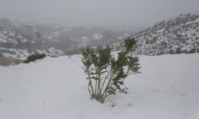 Καιρός - Παραμονή Πρωτοχρονιάς: Η Τροχαία προειδοποιεί - Κλειστοί δρόμοι στην Αθήνα