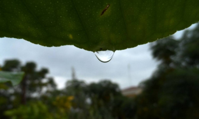 Weather Forecast: Fair on Tuesday (03/01/2017)