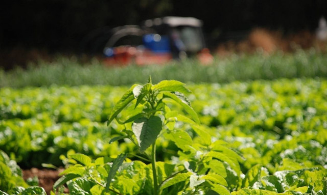 Πριμ 443 εκατ. σε γεωργούς και κτηνοτρόφους για βιολογικά προϊόντα