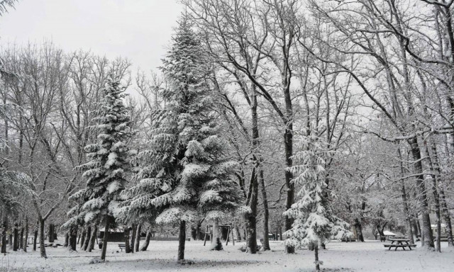 Καιρός: Πάνω από την Ελλάδα ο χιονιάς «Αριάδνη» - Χιόνια και πολικό ψύχος σε ολόκληρη τη χώρα