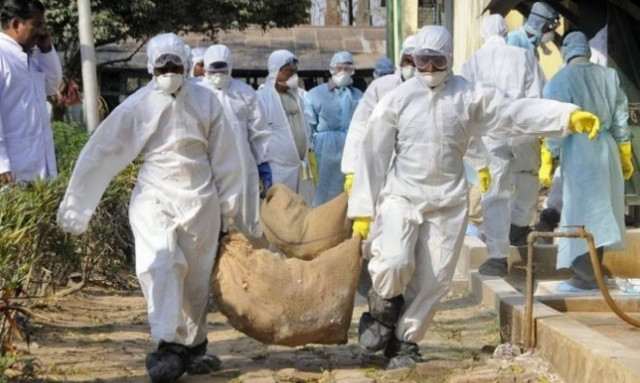 Χιλιάδες πάπιες και πουλέρικα σφαγιάστηκαν σε Γαλλία και Τσεχία
