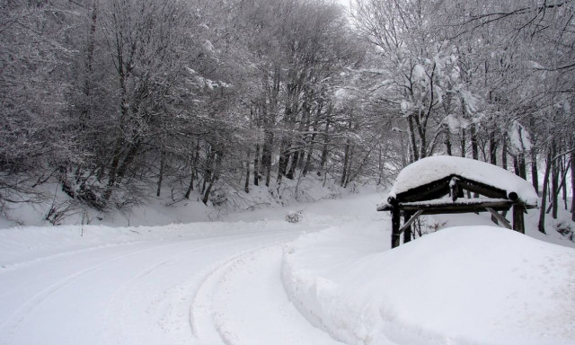 Καιρός LIVE: Στο έλεος του χιονιά η χώρα – Νεκρός 77χρονος στη Ναύπακτο από υποθερμία