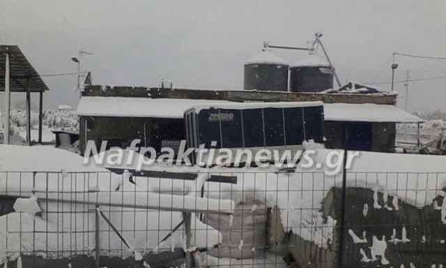 Καιρός LIVE: Κατέρρευσε στέγη από το χιόνι στη Μανάγουλη Φωκίδας (pics)