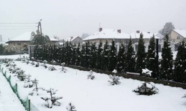 Κακοκαιρία: Τρεις νεκροί από το κρύο στην Πράγα