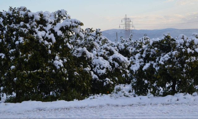 More snow and freezing temperatures forecast on Monday