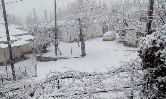 Καιρός Αχαϊα: Σημαντικές ζημιές από τα χιόνια και τον παγο - Αίτημα να κηρυχτεί παγόπληκτος o δήμος