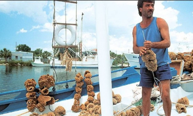 Οι Καλύμνιοι του Τάρπον Σπρινγκς θα μεταφέρουν εκεί ακόμα και πέτρες...από το νησί τους!