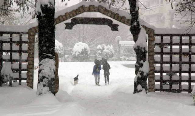 Καιρός ΤΩΡΑ: Έκτακτο δελτίο από την ΕΜΥ - Χιονιάς θα «χτυπά» τη χώρα έως την Πέμπτη - Πού χιονίζει