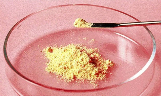 Καταιγιστικές εξελίξεις στο θρίλερ με το θάνατο εγγονής και γιαγιάς από αρσενικό