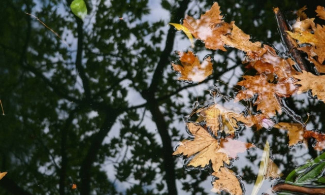 Weather forecast: Rain on Tuesday (24/01/2017)