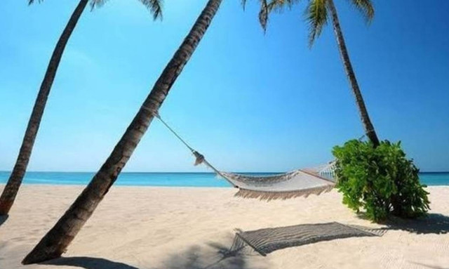 More tourists, less revenue in Jan-Nov '16