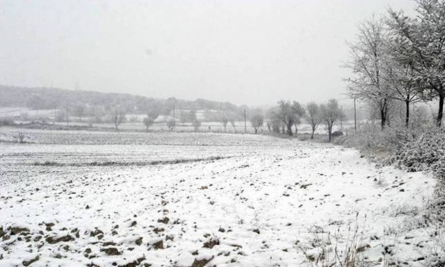 Weather forecast: Rain, snow on Thursday (26/01/2017)