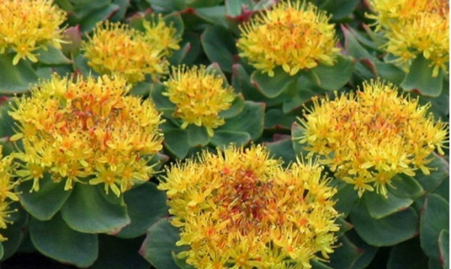 Αυτό είναι το «μυστικό» για να αντιμετωπίσεις άγχος και στρες