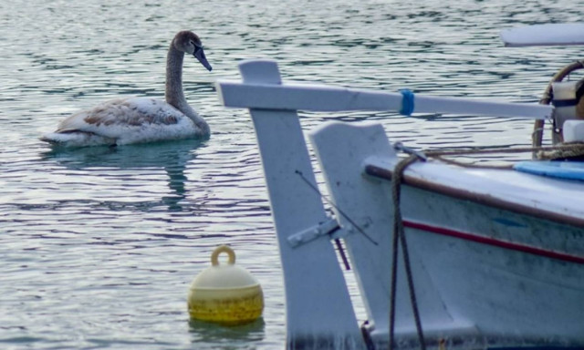 Weather forecast: Fair weather on Saturday (28/01/2017)