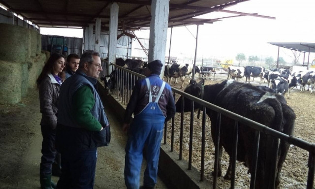 «Παιδεία Γάλακτος»: Εκπαιδευτικό πρόγραμμα γαλακτοπαραγωγών από την Κρι Κρι