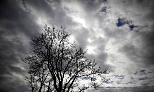 Weather forecast: Cloudy on Monday (30/01/2017)