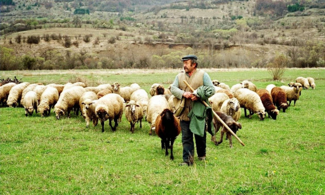 Μετά τους αγρότες στους δρόμους και οι κτηνοτρόφοι
