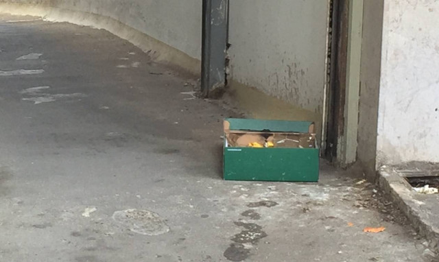 Συναγερμός στο κέντρο της Αθήνας (pics & vid)