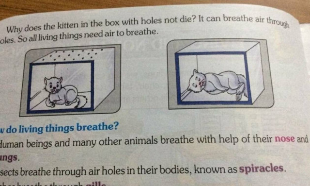 Σάλος με παιδικό βιβλίο που προτρέπει μαθητές να προκαλέσουν ασφυξία σε ένα γατάκι! (pics)