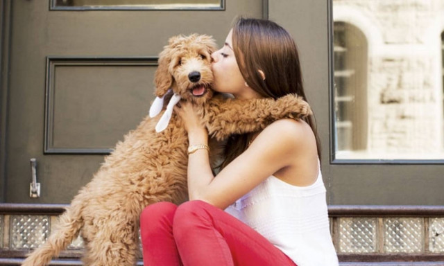 Έχετε σκεφτεί ποτέ ότι εσείς και ο σκύλος σας έχετε την ίδια… προσωπικότητα;