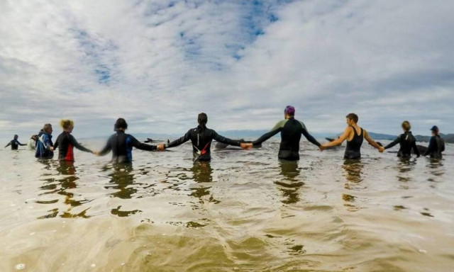 Ακόμα 200 μαυροδέλφινα ξεβράστηκαν στη Νέα Ζηλανδία - Κανείς δεν μπορεί να εξηγήσει το φαινόμενο