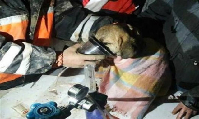 Συγκινεί η διάσωση ενός κουταβιού από πηγάδι στην Κωνσταντινούπολη (pics+vid)