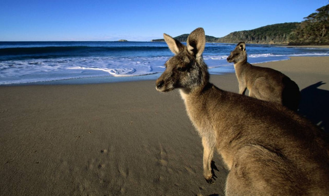 Αυστραλία: Πόλος έλξης για τους Κινέζους τουρίστες