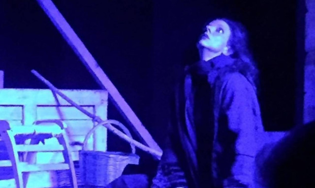 Η «Φόνισσα», η πολυσυζητημένη ηρωίδα του Παπαδιαμάντη στην σκηνή σε σκηνοθεσία Γ. Νικολαϊδη (pics)