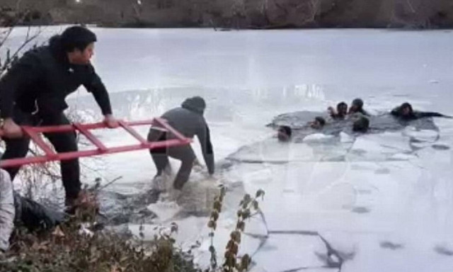 Σέντραλ Παρκ: Η selfie παραλίγο να τους στοιχίσει τη ζωή! (vid)