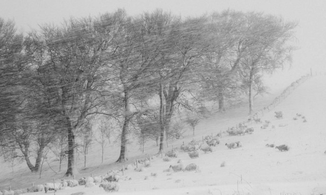 Φονική κακοκαιρία στη Βρετανία - Χάος στις μεταφορές και blackout (videos+pics)