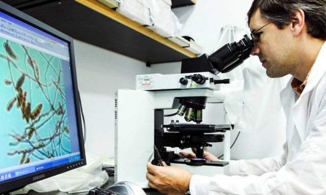 Υποτροφίες μεταδιδακτορικής έρευνας για νέους ερευνητές