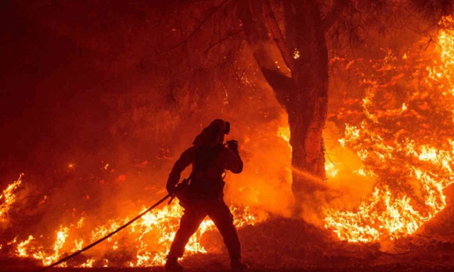 Το 84% των πυρκαγιών ξεκινούν από ανθρώπους...