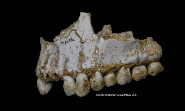 Εντυπωσιακά ευρήματα με ελληνική συμβολή ανατρέπουν όσα γνωρίζαμε για τους Νεάντερταλ