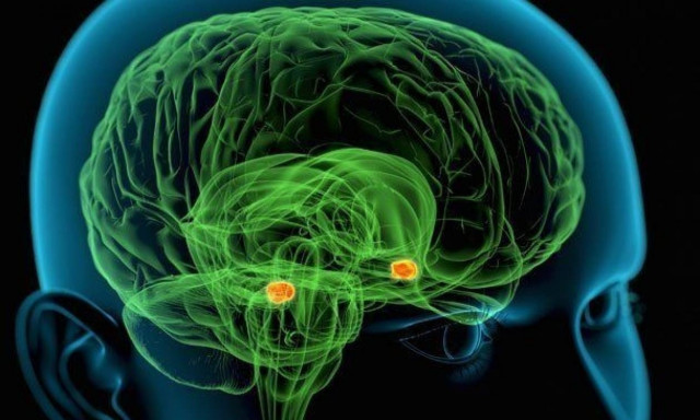 Επιστήμονες εισέβαλαν για πρώτη φορά στο μυαλό ενός… δολοφόνου!